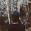 lilymojo